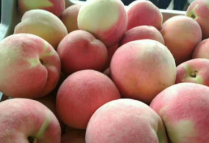 桃子的挑选方法和注意事项,桃子怎么挑选果甜