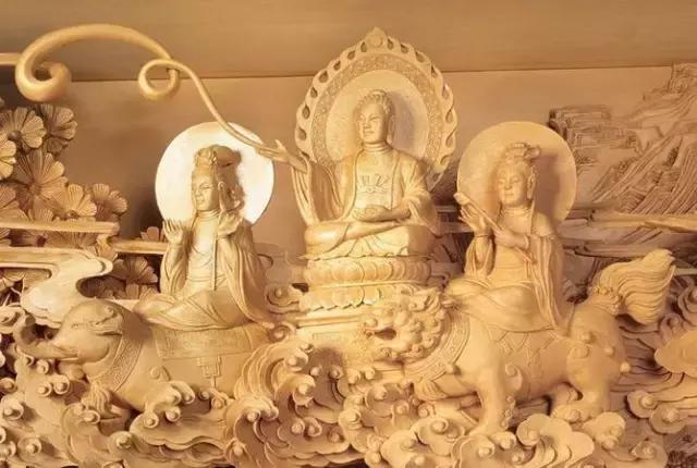 柴木是什么树种,柴木是什么