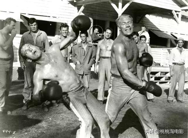 值得一看的一百部电影,重温经典100部电影