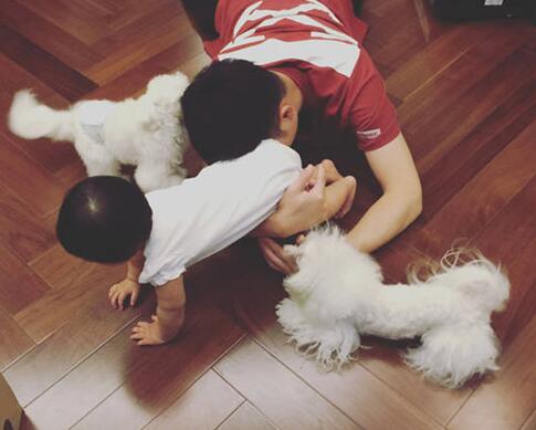 “女儿真香!”他坚持10年丁克生活,妻子怀孕后却马上沦为女儿奴