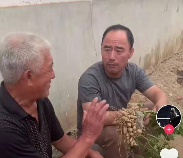 旭日阳刚回民权,旭日阳刚回到老家