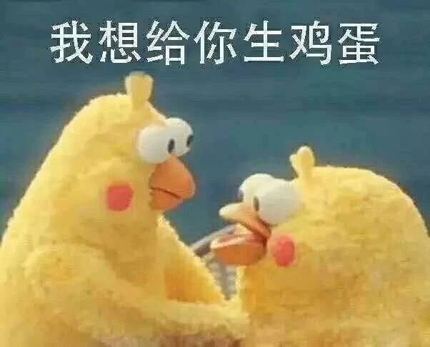 狗可以吃鸡蛋白吗,狗到底能不能吃桃子