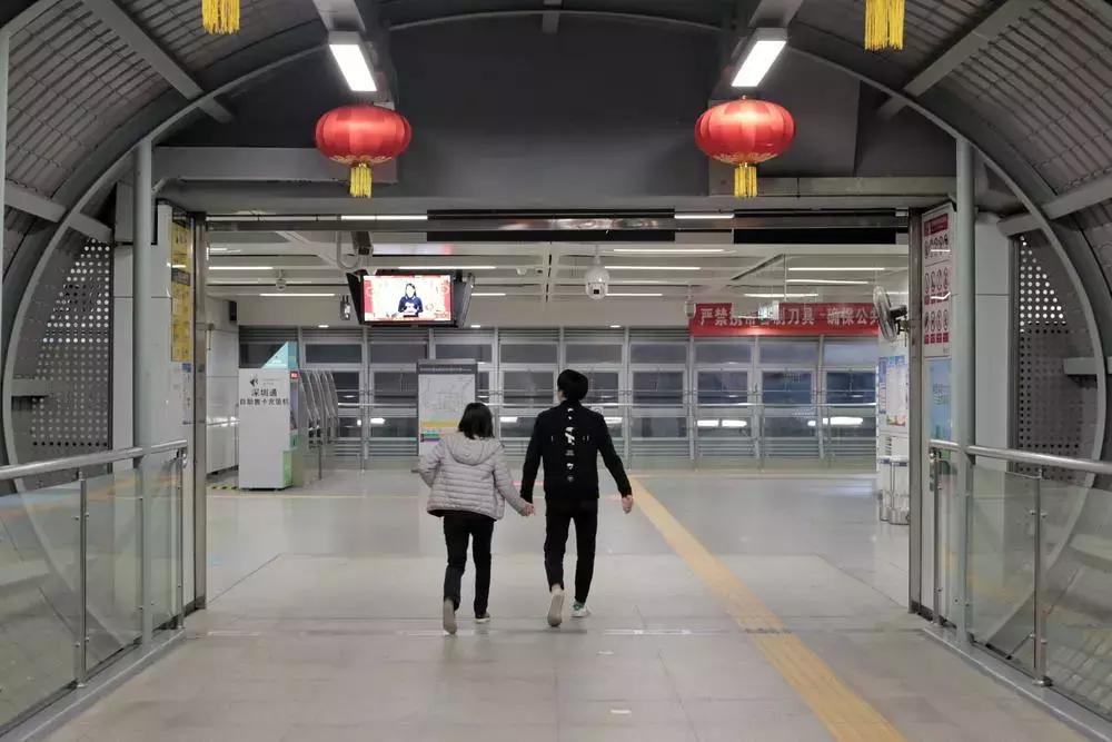 摄影作品点评差,熊猫摄影评分