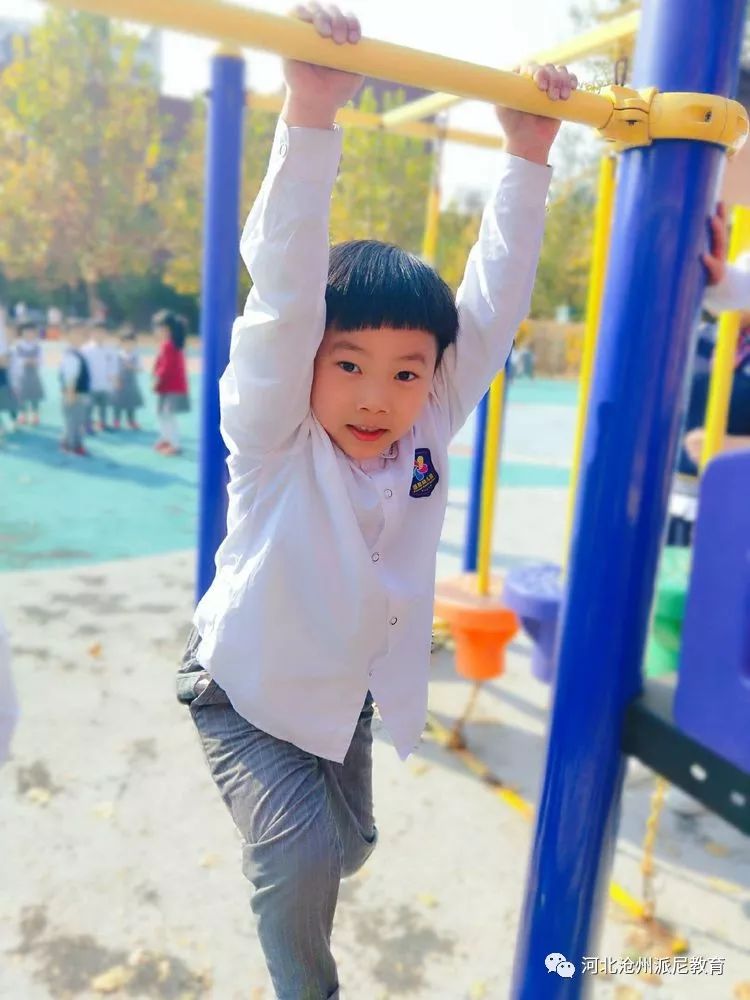 身体大揭秘动画,身体大揭秘