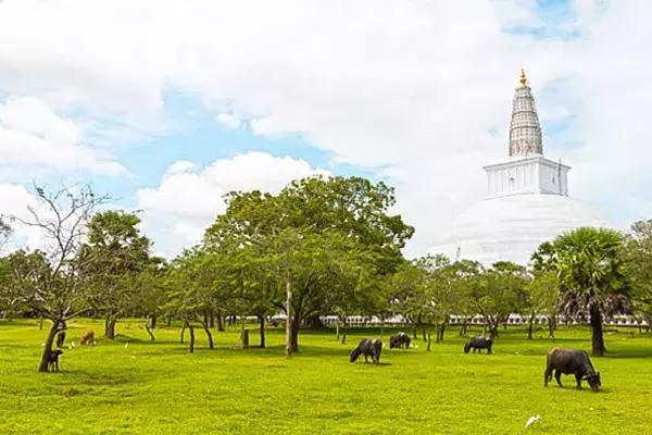 斯里兰卡的风景,风景优美而且物价便宜