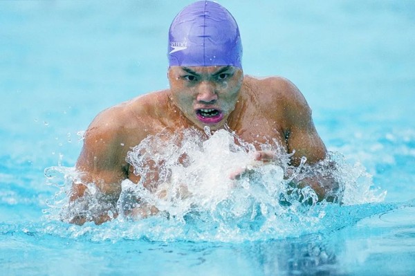 会员作品赏析,会员书法作品欣赏