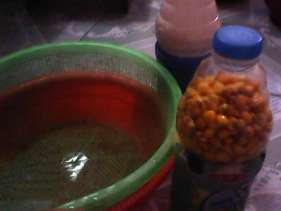 玉米粒钓大鱼最佳钓鱼方法,如何正确用玉米粒钓鱼