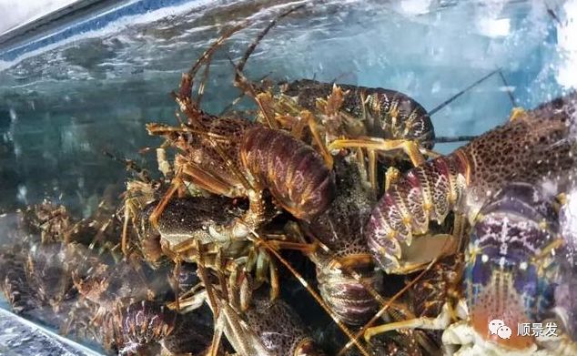 锐意进取、勇攀高峰——2018顺景发年度大事记