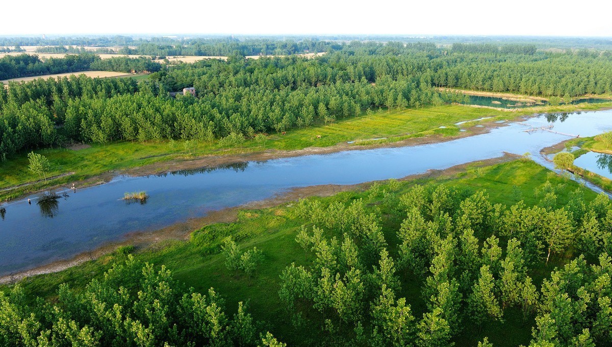 大北农转基因大豆阿根廷,大北农大豆转基因