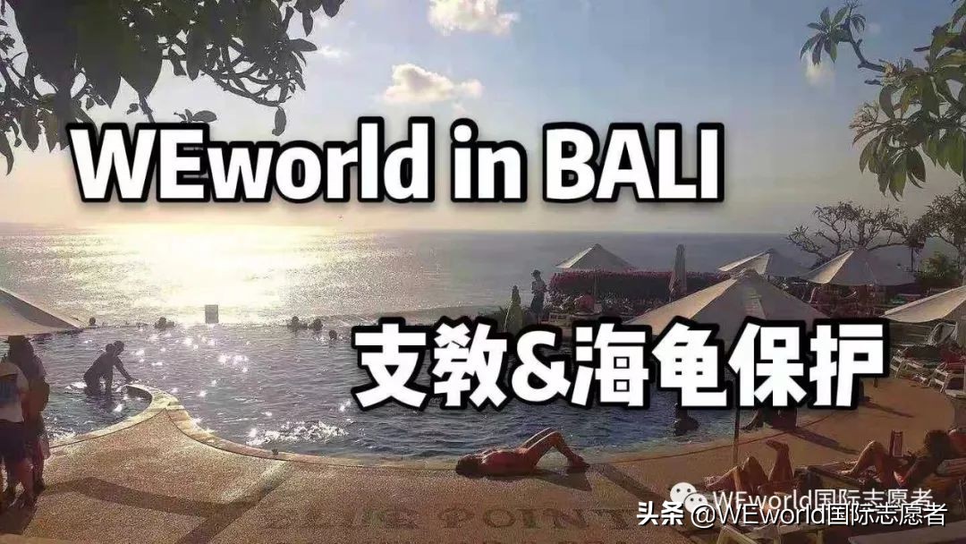 WEworld全球体验官招募|4大志愿者项目0元出发