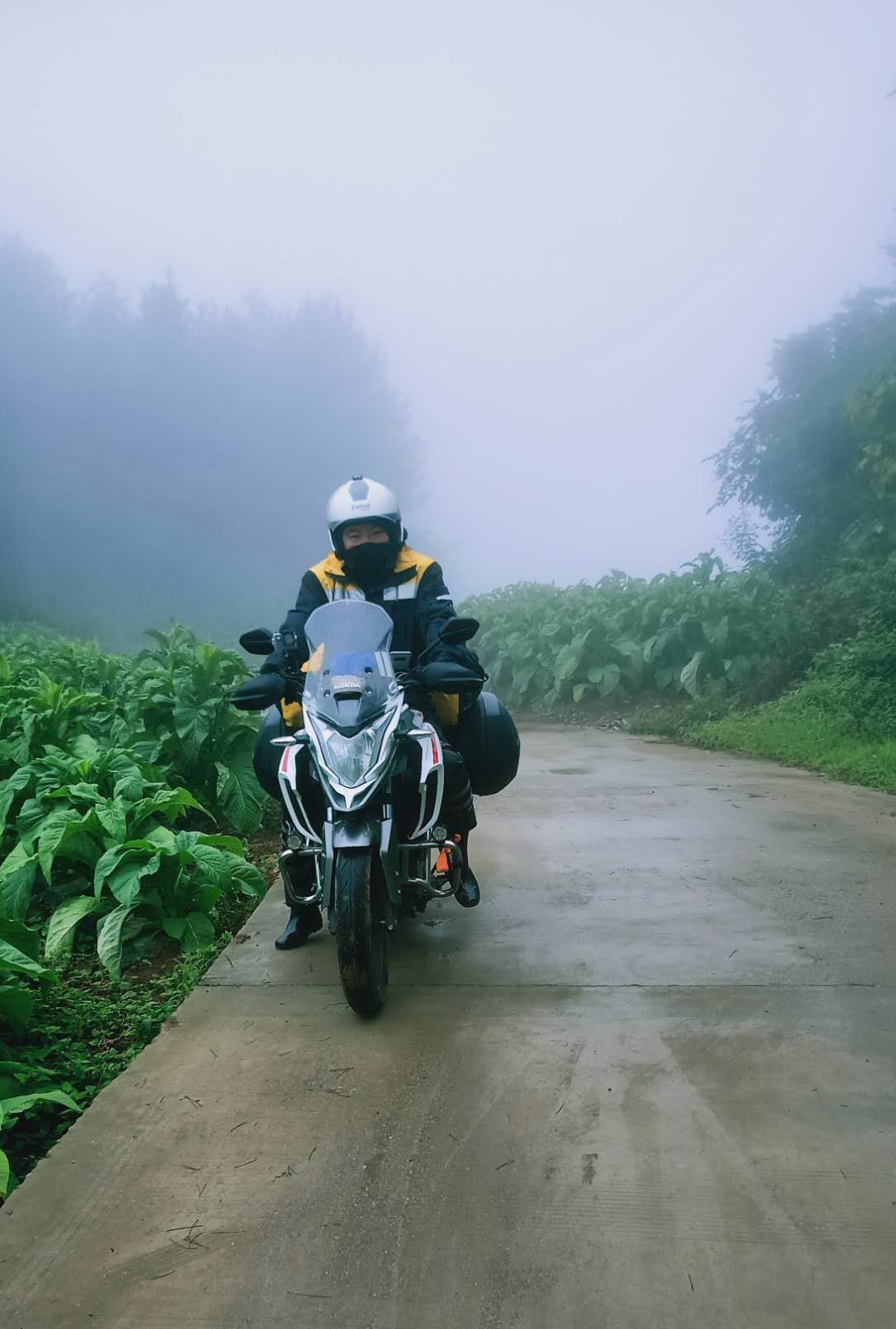 摩旅秦岭分水岭攻略,摩旅黑河森林公园