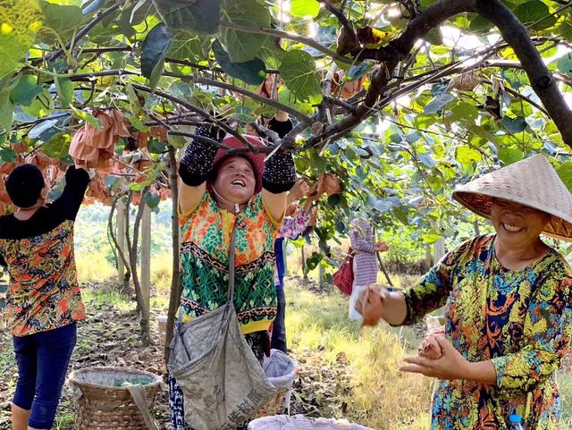 带项目的土地流转合同应注意事项,农村土地流转合同注意什么