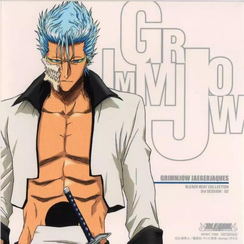 死神bleach十刃出场音乐,死神bleach十刃前身是虚吗