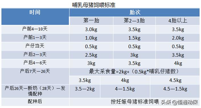 母猪分娩率计算公式,母猪分娩护理技巧