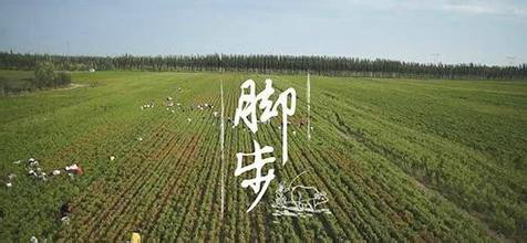 刚成为部门经理该怎么做,刚成为管理者不懂管理