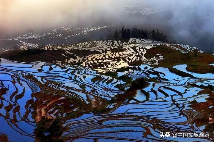 云南又在央视火了！这份云南2019新简历要藏不住了！