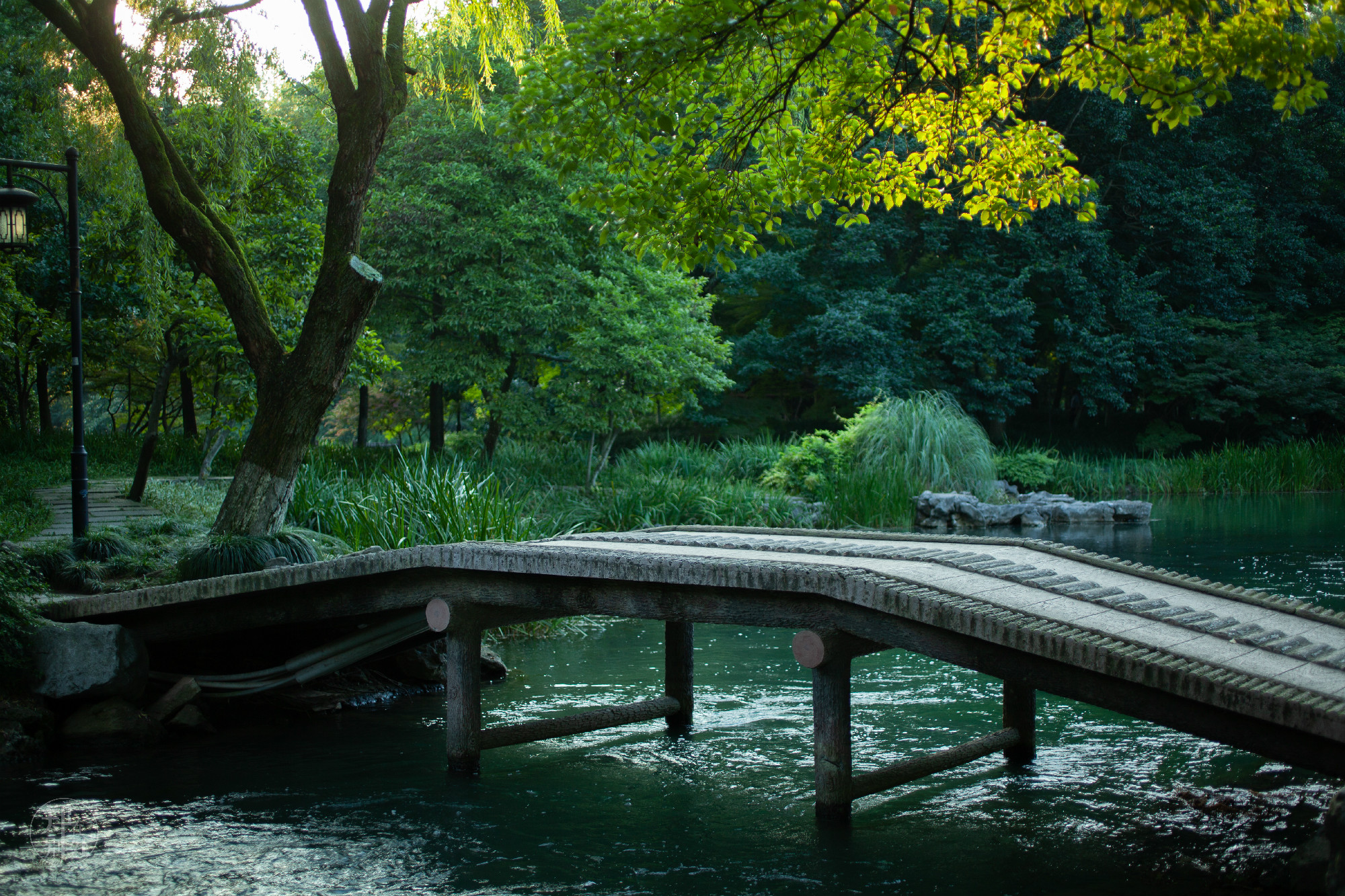 坐公交游杭州几路最好,杭州87路公交沿路风景