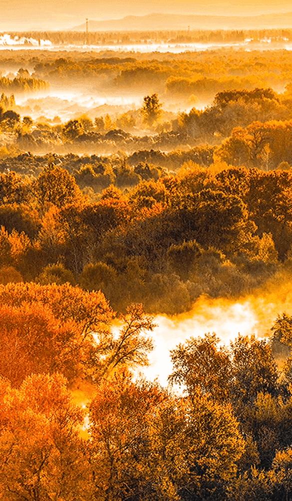 如果你不了解现实你就去看历史,如果你不了解历史就无法展望未来