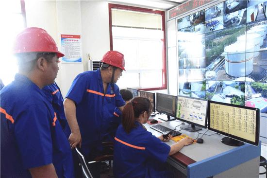 大桥石化油最便宜吗,大桥石化有纯汽油吗