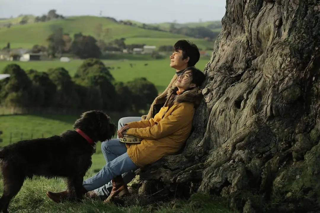 2022年国内即将上映的好莱坞大片 (2022年国内定档的好莱坞大片)