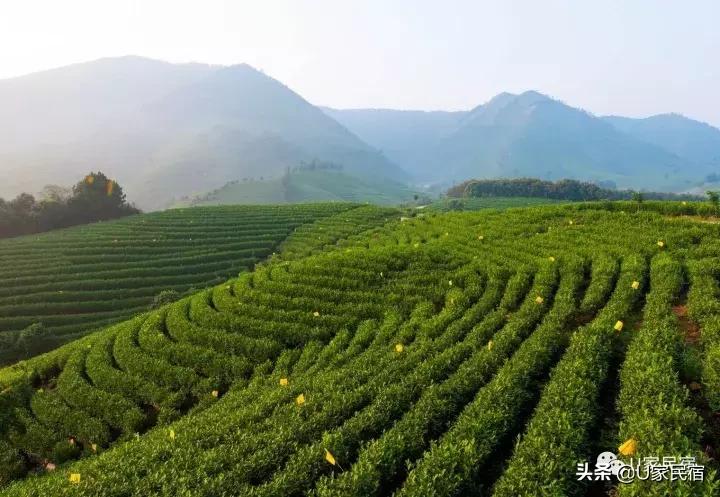 民宿不止一种模样，帐篷民宿酒店了解一下？