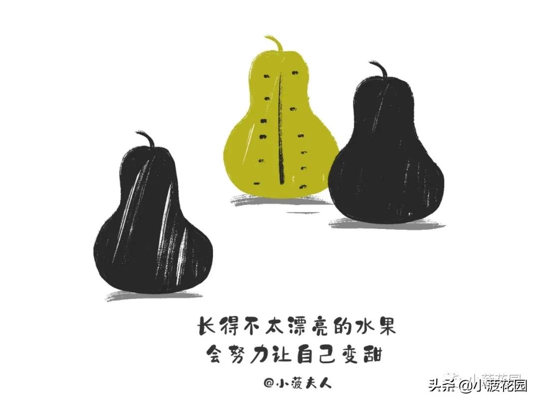 毛主席是运用“形而下”的高手，高高手