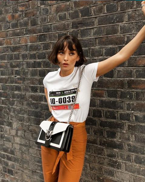 燕子轻奢小众包,pinko压花燕子包哪款好看