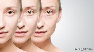 最有胶原蛋白的鱼胶,胶原蛋白含量高的鱼胶