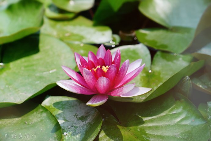 国庆夜游古北水镇,古北水镇旅行攻略一日游