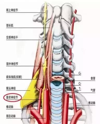 一针治百种病症 (一针治100种病症)