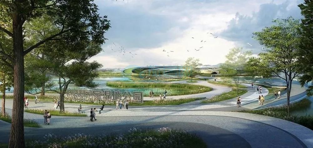 特区中的特区横琴,横琴新区哪个区发展前景好