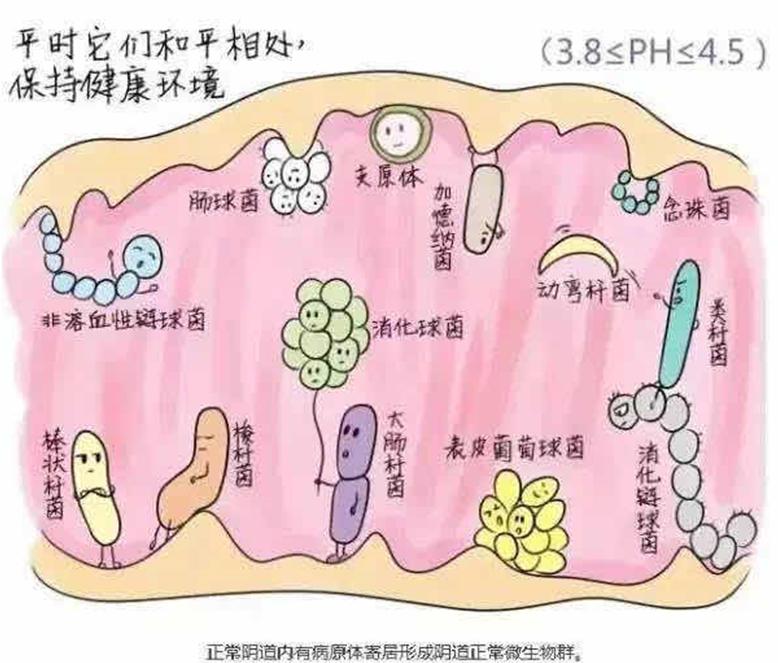 为什么有阴道炎会怀不上孩子？这5个方法可有效预防！
