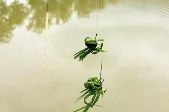 诱钓草鱼技巧,诱钓草鱼最快的方法