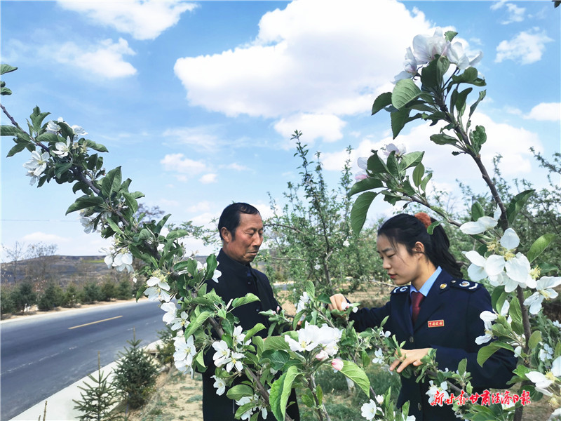 青春在扶贫一线焕发光彩——记清水县税务局驻郭川镇高湾村驻村帮扶干部黄莉