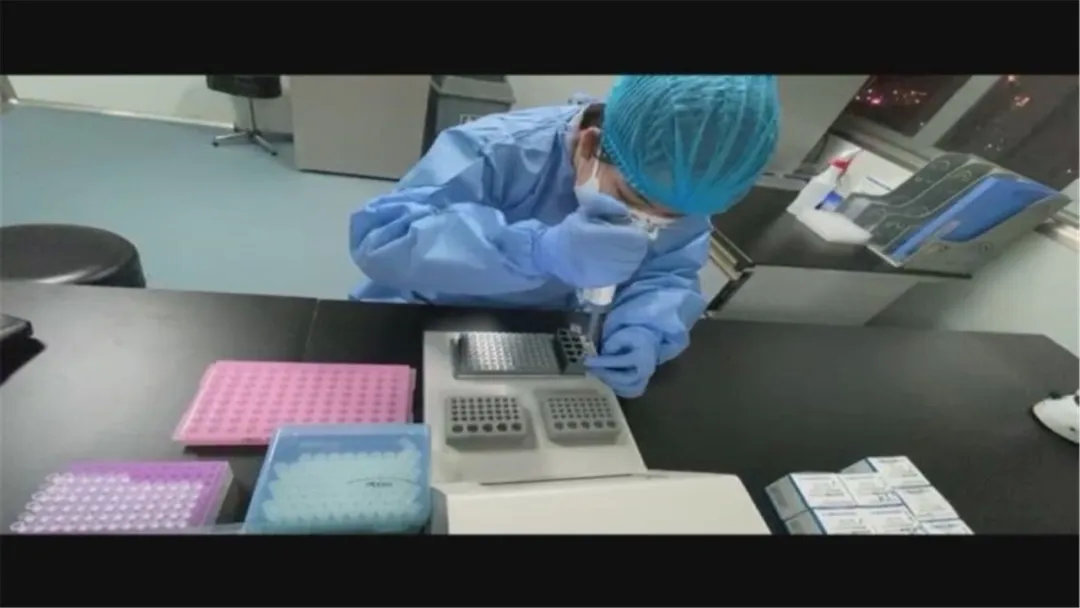 核酸检测试剂盒荧光pcr法,乙肝病毒核酸定量pcr