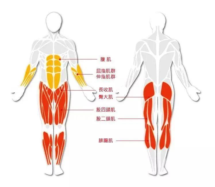 腰腿痛病因病机是什么,腰腿痛的病因全在这里了