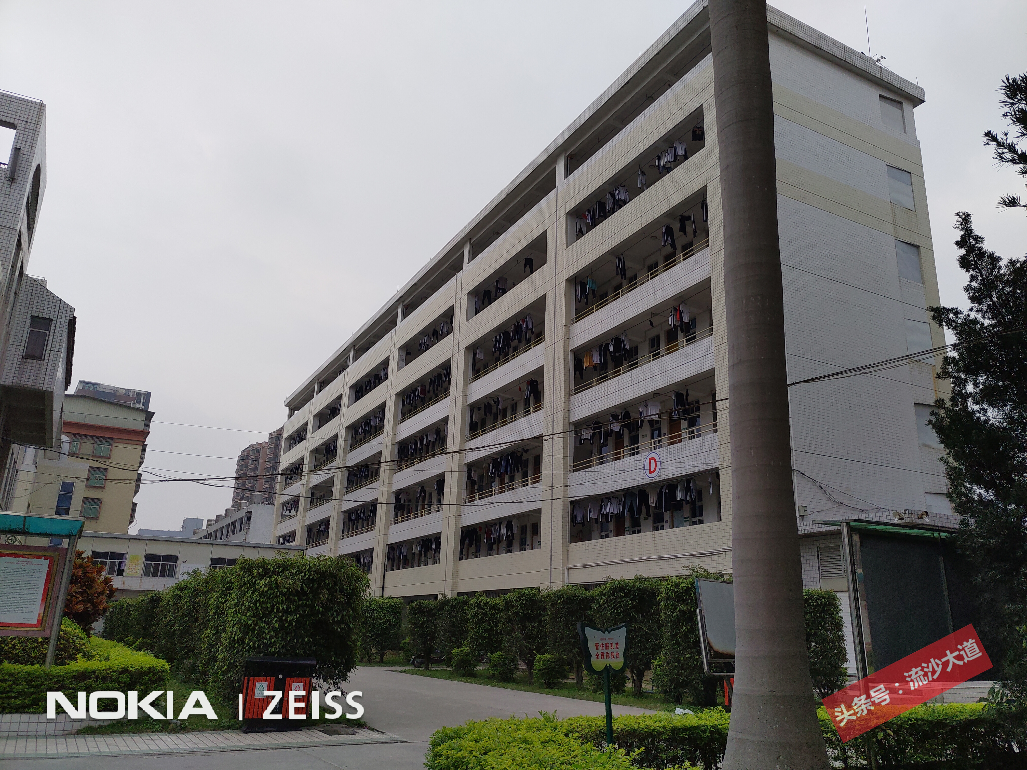 广东普宁侨中学校全景图,普宁华侨中学照片