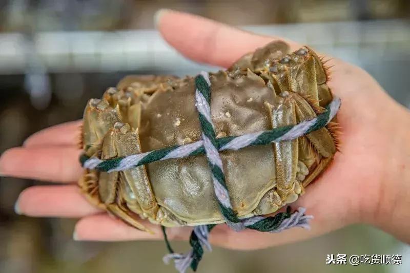 顺德人均100的农庄,顺德最顶级农庄