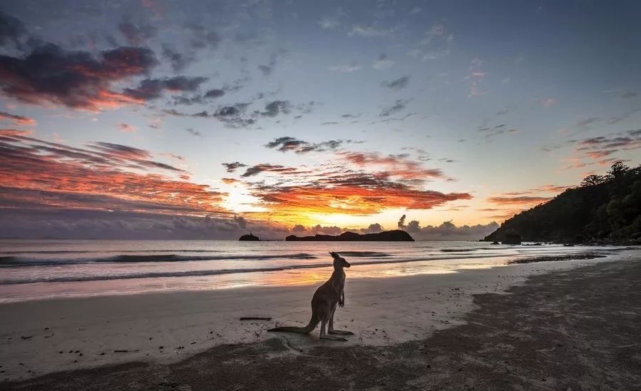 澳大利亚打工签证要有多少存款,澳大利亚打工度假签证