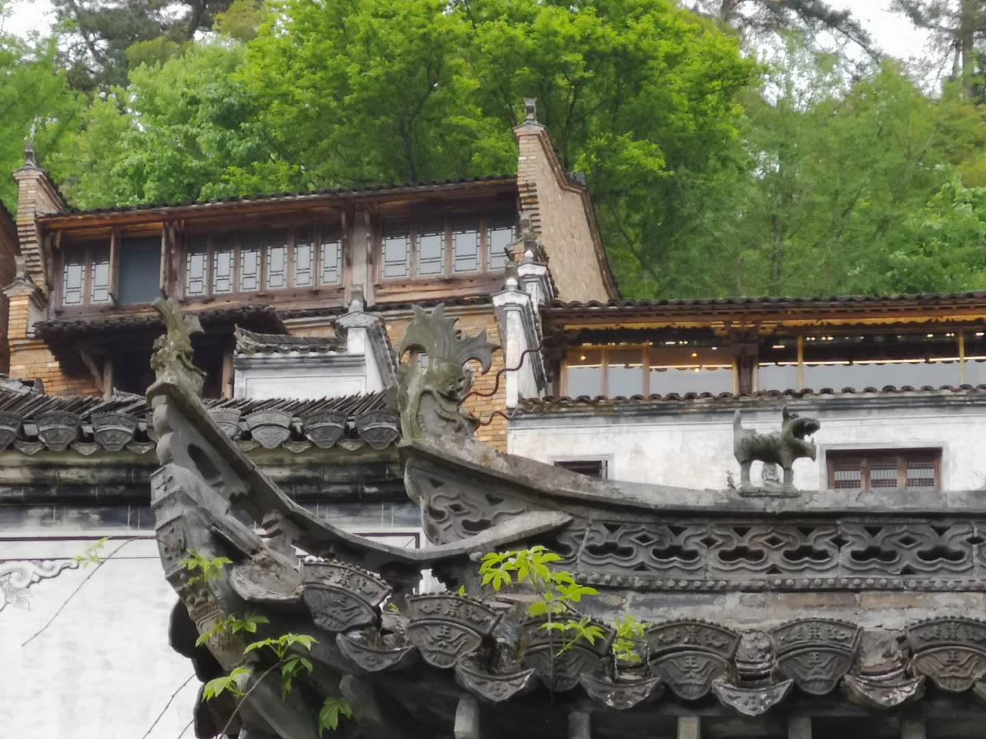 农村破旧老民居如何改造为特色民宿？可自住可出租，半年赚回房钱