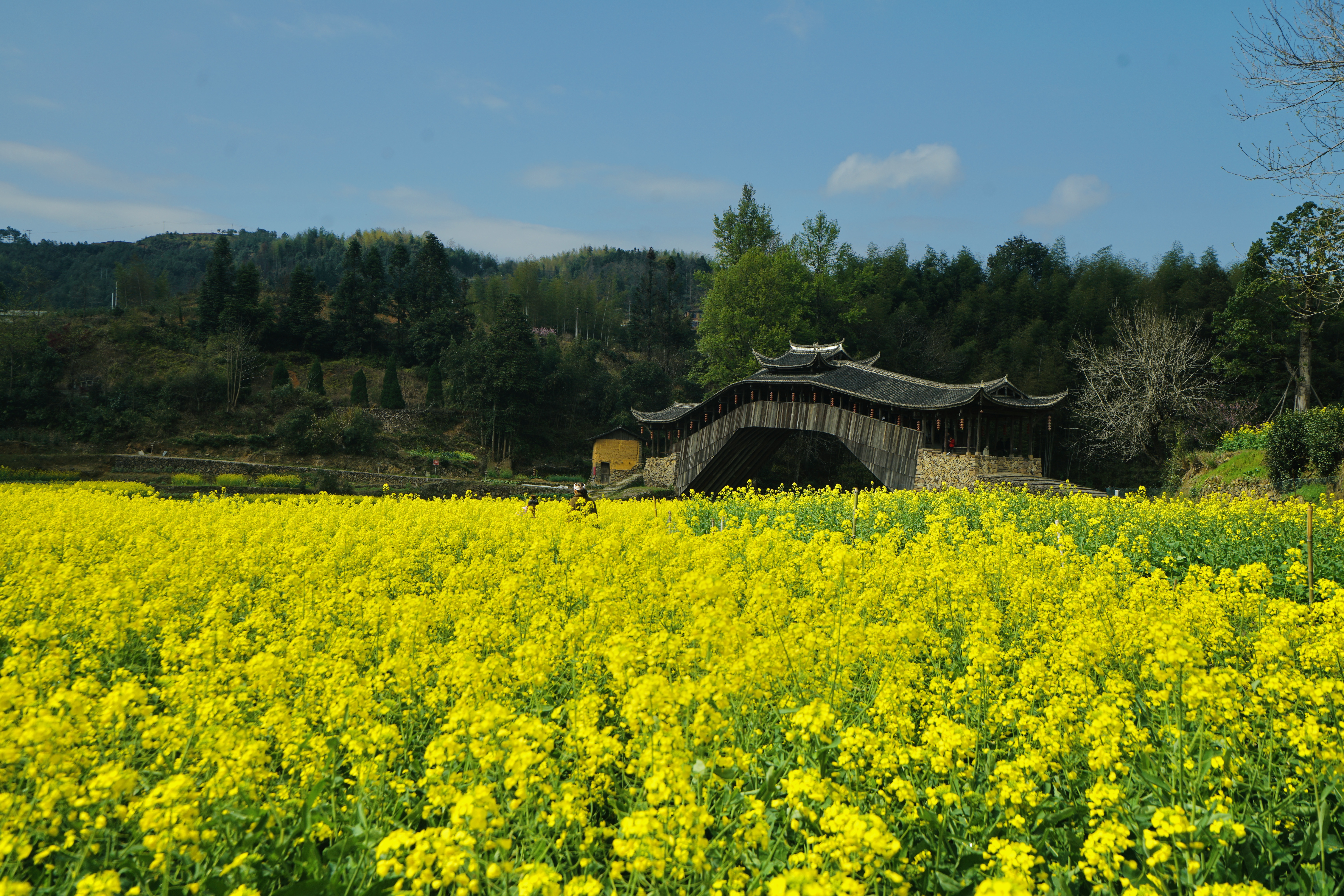 温州楠溪江很美的,温州楠溪江什么时候最美