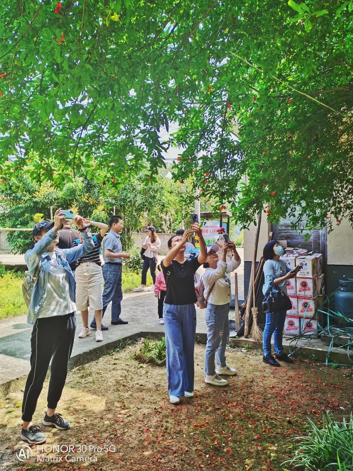 斜溪村旅游规划,斜溪村度假村