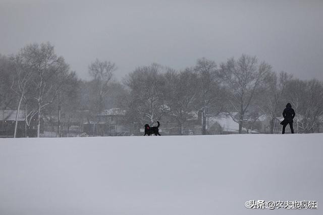 立春在除夕那一天是寡妇年吗,今年立春是春寒还是春暖