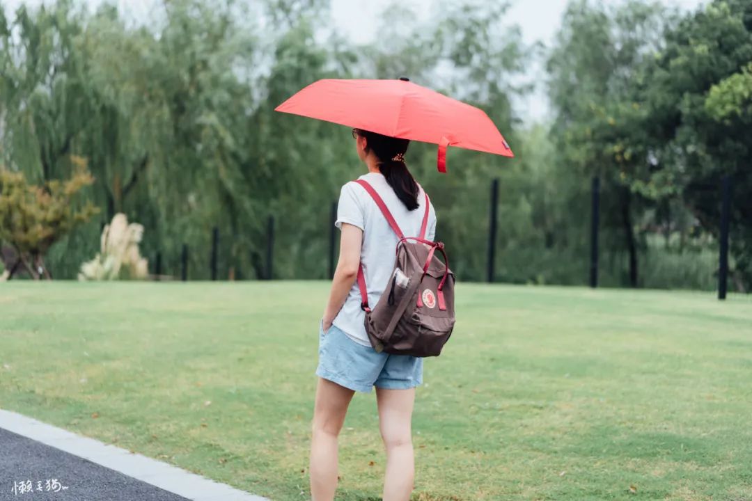 6骨双层长柄雨伞,六骨拱形雨伞