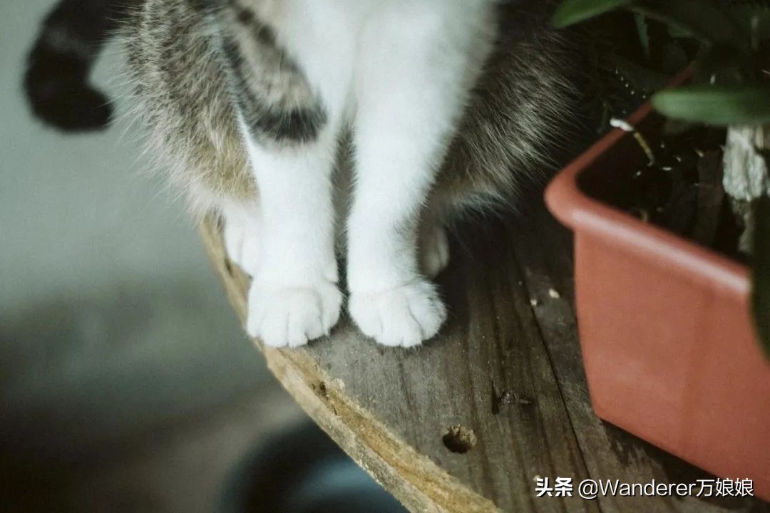 老祖宗留下的10句话是什么,老祖宗留下的看穿人性的12句话