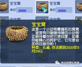 牧场攻略梦幻西游怎么得修炼果,梦幻西游新手牧场玩法技巧