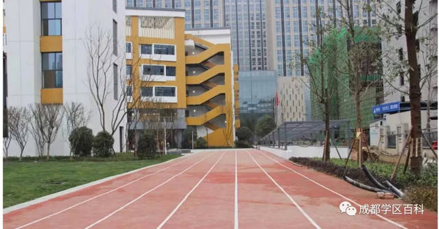 成都高新大源学校初中排名,高新区大源片区学校排名