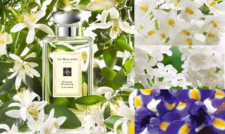 祖马龙香水5件套测评,祖玛珑香水哪个系列最好