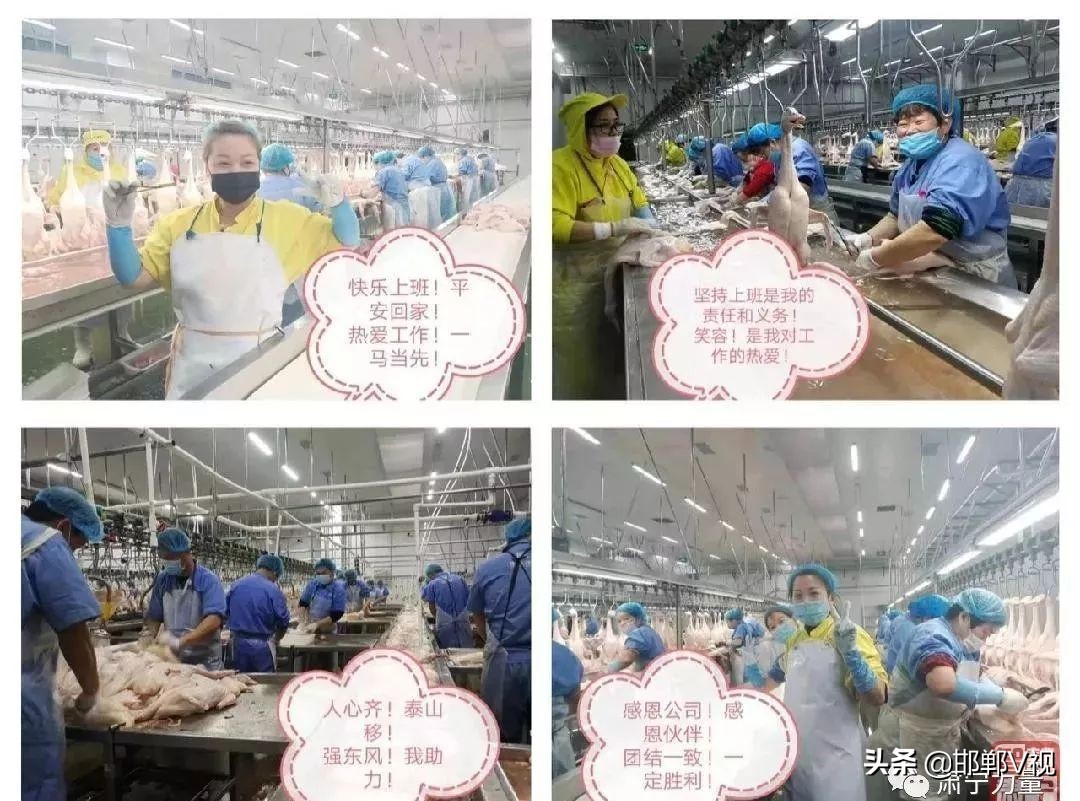 河北你终于藏不住了,河北你