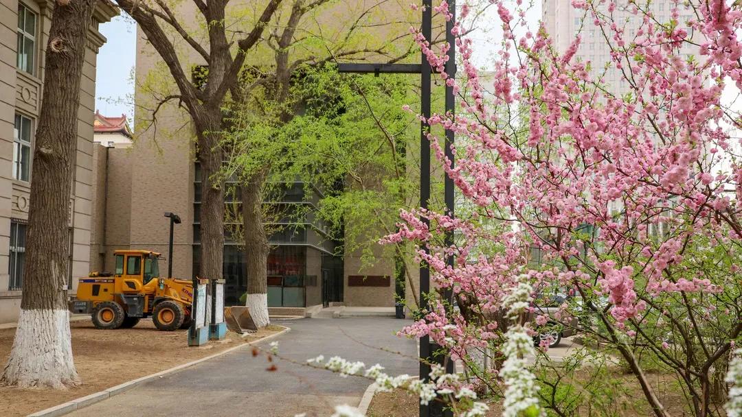 辽宁大学和鲁迅美术学院,辽宁省鲁迅美术学院是985吗